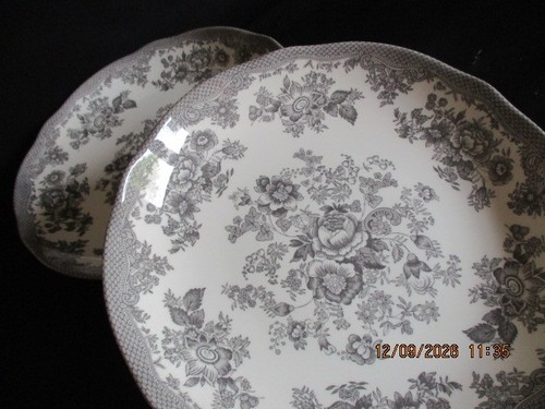 75 inch pasta plates - 9.75,