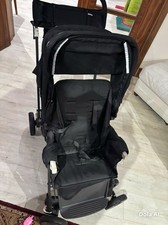 Double Buggy
