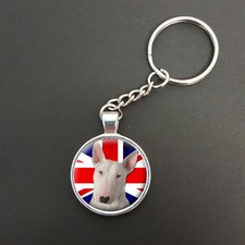 English Bull Terrier Dog