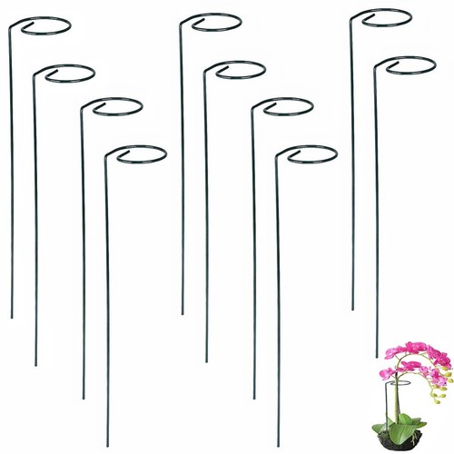 Metal spiral plant support - plant,