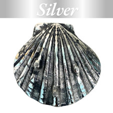 Metal Sea Shell Decor 13cm