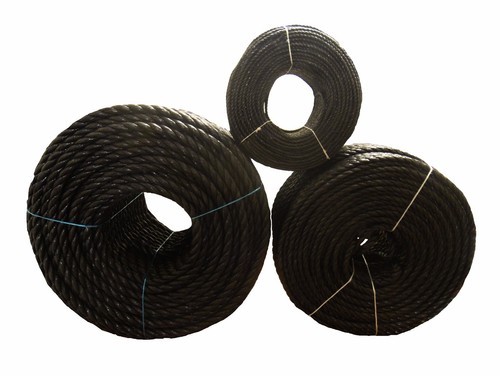 Black poly rope coils - rope, coils,