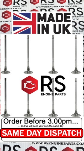 Exhaust valve fits - valve,