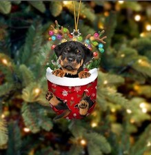 Rottweiler In Snow Pocket Flat