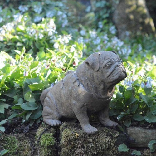 Full size pug cold cast - size, bronze