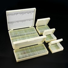 200pcs glass prepared - 25-200pcs,
