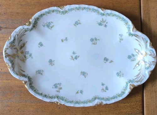Haviland oval plate limoges - haviland,