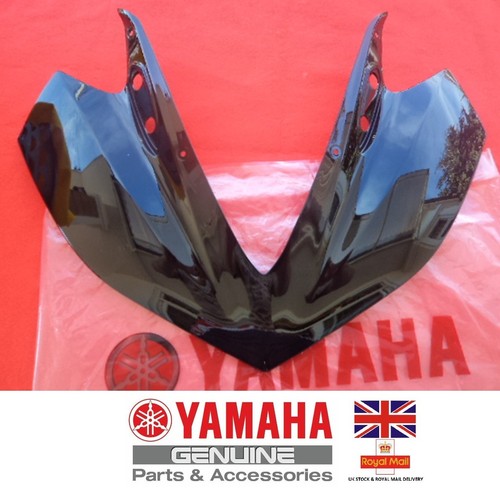 Yamaha yzf fairing - r3,