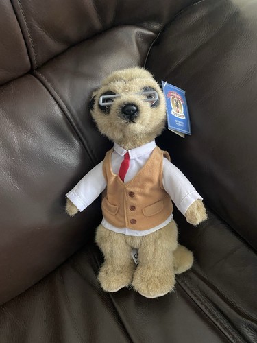 Compare the meerkat - compare,