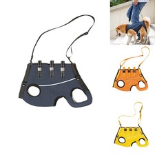 Pet Dogs Mobility Aids Support
