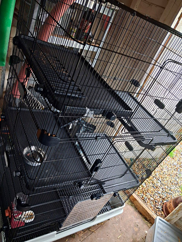 Large tall black - black, pet