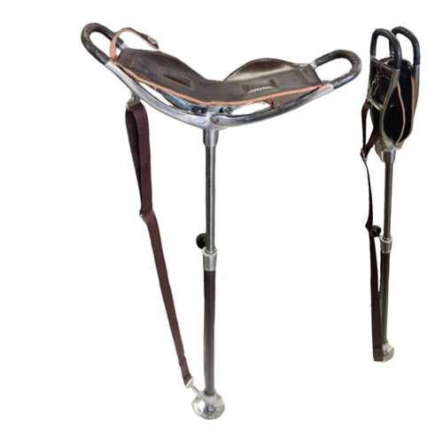 Walking stick plus - stick,