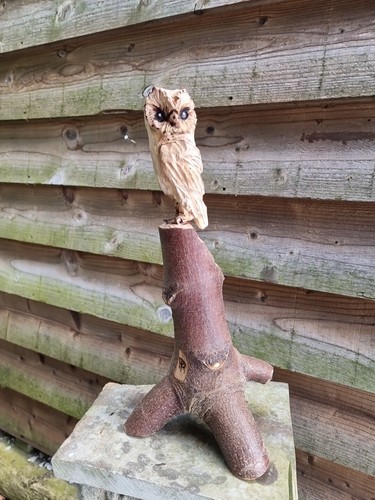 Chainsaw carved owl - owl,