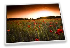 Sunset Floral Poppy Field Red CANVAS FLOATER FRAME Wall Art Print Picture