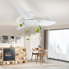 6 Speed Large LED Ceiling Fan