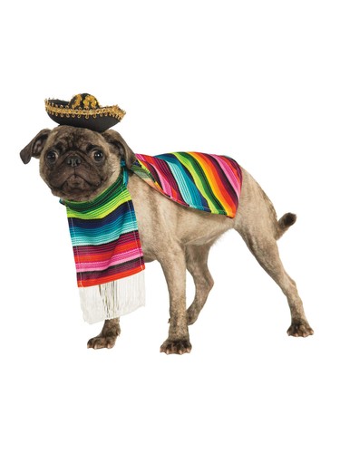Mexican pet costume animals - mexican,