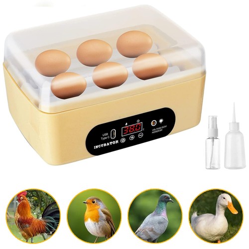 Eggs incubator with - 6,
