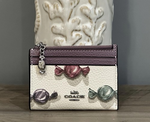 Coach mini skinny case - id,