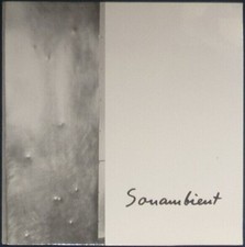 Harry Bertoia - Sonambient Swift Sounds / Phosphorescence on Black vinyl.