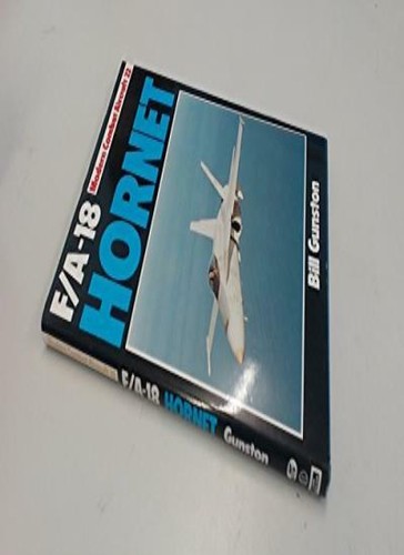 Hornet modern combat - f-18, (modern