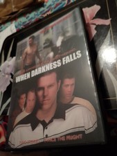WHEN DARKNESS FALLS. GAY