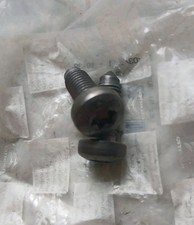 Citroën Saxo Front Door Check Strap Torx Bolts Screws VTR VTS Furio 1.1 