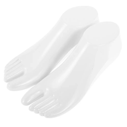 Foot model stand - foot, realistic
