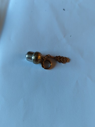 Rare vintage fossil - rare, acorn