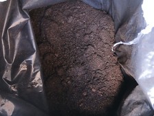 Litre sphagnum moss peat - 2,