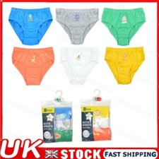 Boys Briefs Underpants