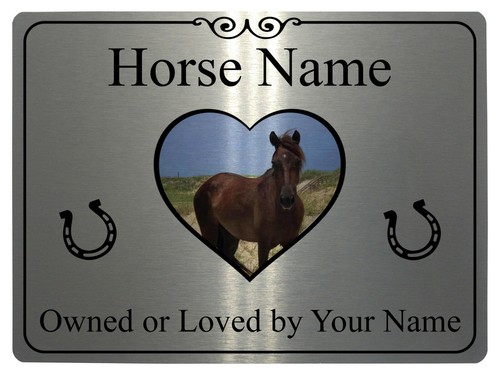 017 personalised horse name - horse,