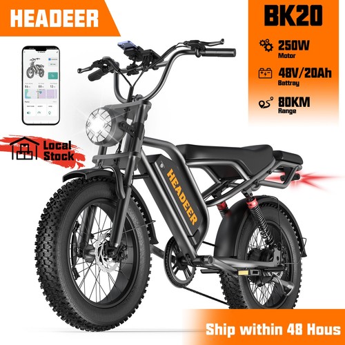 Electric fat tyre bike - tyre, 250w