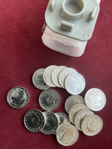 Britannia coin solid - in,