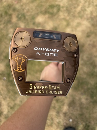 Odyssey one giraffe - ai-one, beam