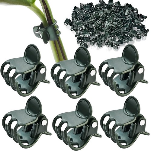 Plastic plant support - plastic,