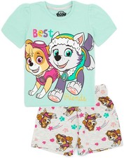 Paw Patrol Blue Skye & Everest