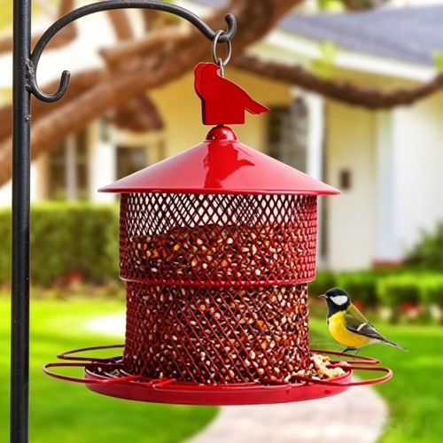 Squirrel proof bird feeder for - proof,