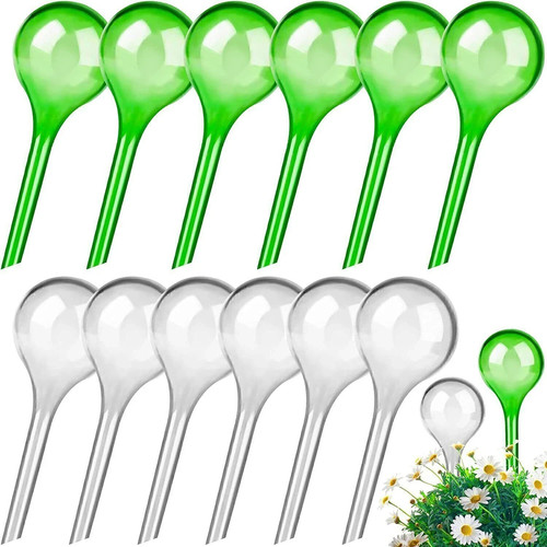 Plant self watering - plant,