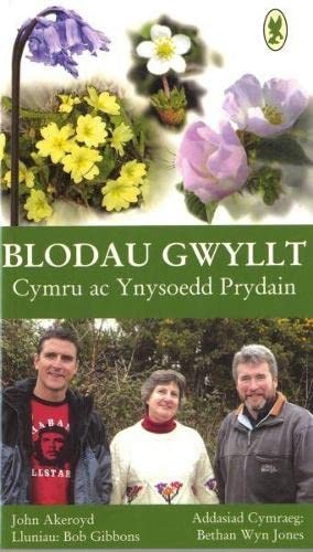 Blodau gwyllt cymru - blodau, ac