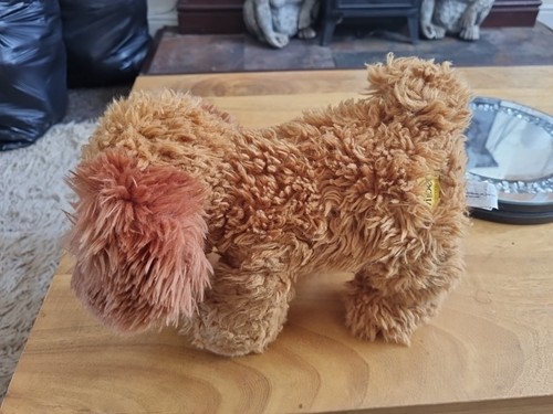 Willberry brown fluffy - brown, dog