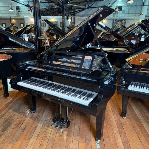 Feurich 218 concert grand - feurich, i