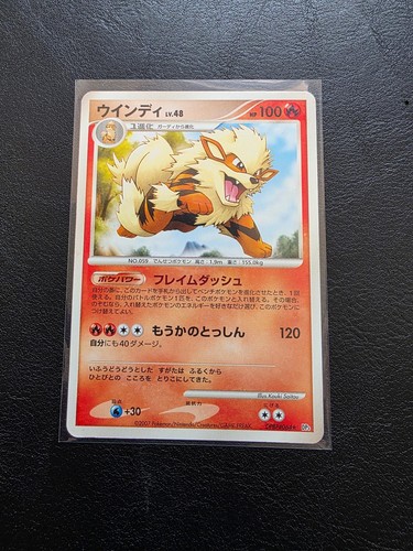 Arcanine dpbp 064 - arcanine, dpbp#064