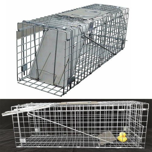 Animal traps cage for squirrel - traps,