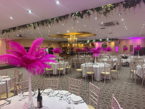 Ostrich feather hire party - feather,