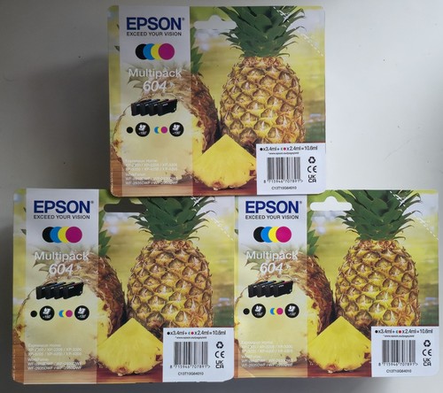 Genuine epson 604 pineapple - epson,