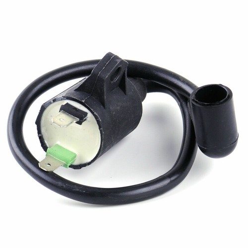 Ignition coil fits wolf yamaha - wolf,