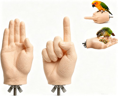 Hand shaped parrot - hand-shaped, bird