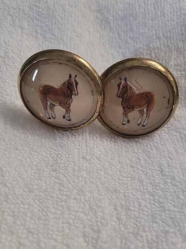 Bridle rosette haflinger - rosette's,