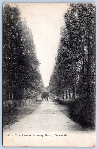 Cobham surrey postcard - cobham,