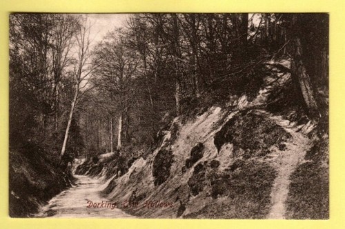052905 postcard dorking - ,